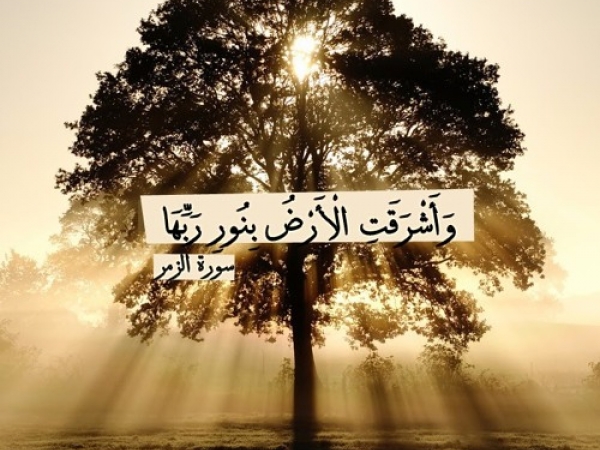 آیات مهدویت در سوره  زمر