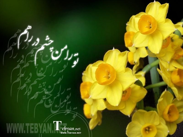 امام، برادری فداکار