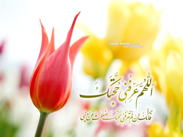 نقاط اشتراک و اختلاف مذاهب مختلف اسلامی در مساله مهدویت