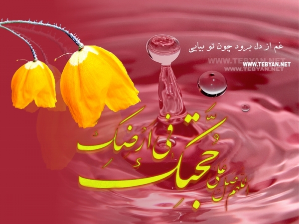 شباهت امام زمان با حضرت آدم
