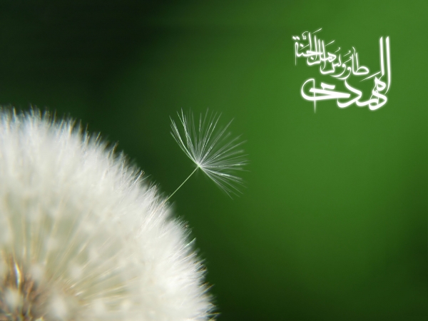 ادله وقوع رجعت در قرآن کریم