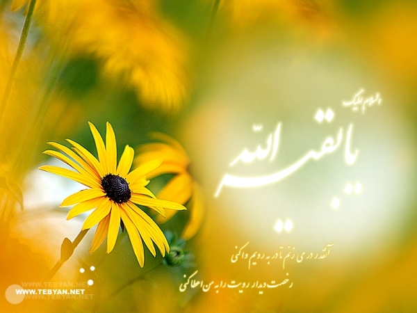 امام مهدی در روایات