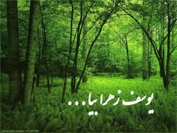 شباهت&zwnj;های امام زمان با حضرت یوسف