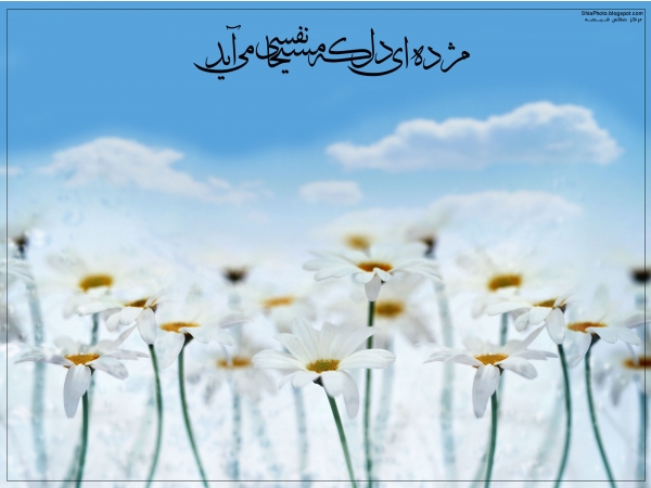 آیات مهدویت در سوره طارق